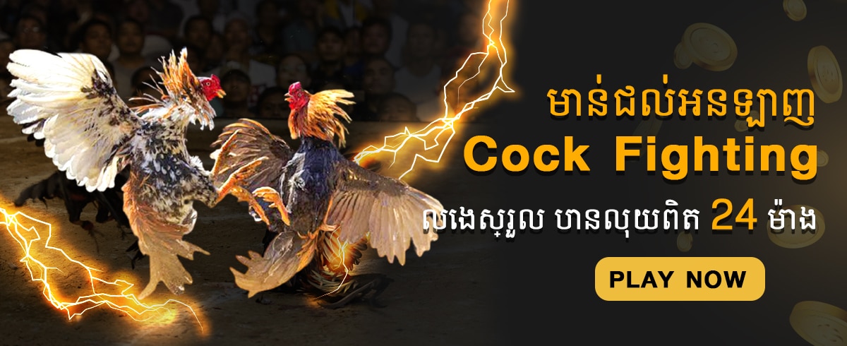 cock fight