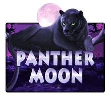 panther moon